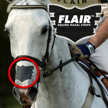 Flair Nasal Strip Flair Nasal Strip