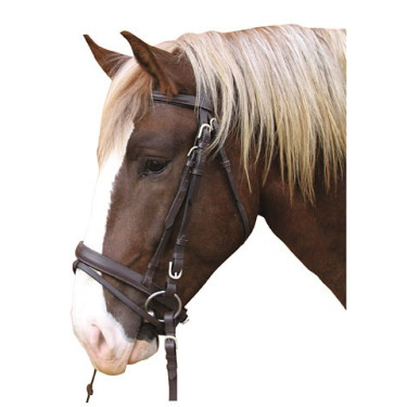 Bridon Cheval de Trait Cuir Bridon Cheval de Trait Cuir