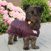 Manteau pour chien Back on... Manteau pour chien Back on...