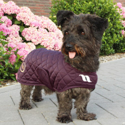 Manteau pour chien Back on Track® Night Collection Bordeaux