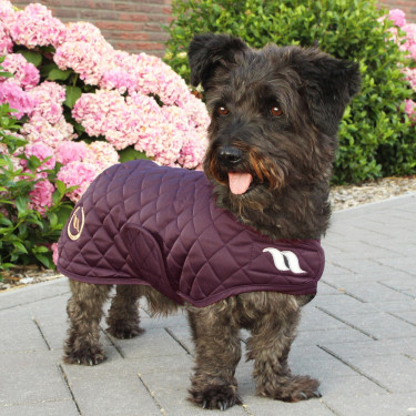 Manteau pour chien Back on Track® Night Collection Bordeaux Manteau pour chien Back on Track® Night Collection Bordeaux