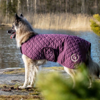 Manteau pour chien Back on Track® Night Collection Bleu