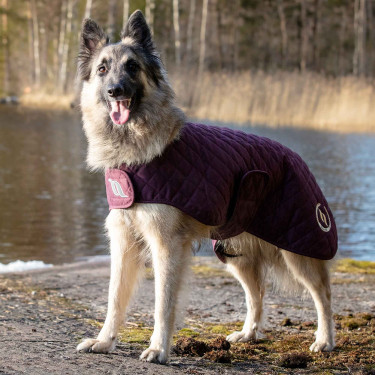 Manteau pour chien Back on Track® Night Collection Bordeaux Manteau pour chien Back on Track® Night Collection Bordeaux