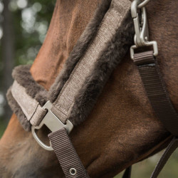 Licol Back on Track Haze Collection Marron