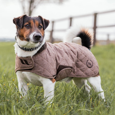 Manteau pour chien Back on Track® Haze Collection Manteau pour chien Back on Track® Haze Collection