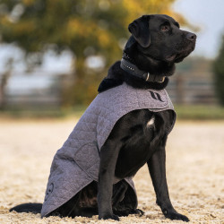 Manteau pour chien Back on Track® Haze Collection Marron Manteau pour chien Back on Track® Haze Collection Marron