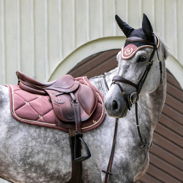 Bonnet cheval Night Collection Back On Track Café Marron