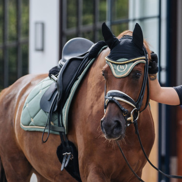 Tapis de Selle Dressage Night Collection Back On Track Tapis de Selle Dressage Night Collection Back On Track