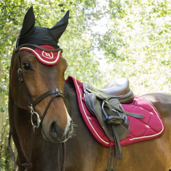 Bonnet cheval Night Collection Back On Track Rubis Rouge