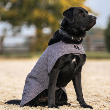 Manteau pour chien Back on Track® Haze Collection Gris
