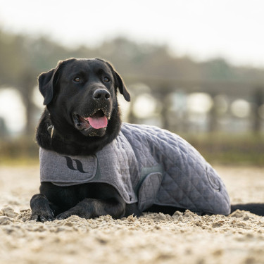 Manteau pour chien Back on Track® Haze Collection Gris