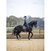 Tapis LeMieux Self-Cool Dressage Square Gris Tapis LeMieux Self-Cool Dressage Square Gris