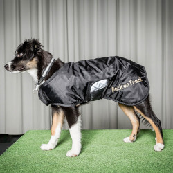 Collier pour chien Molly Back on Track Noir / argent