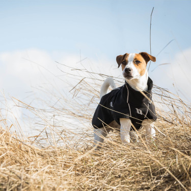 Manteau chien polyvalent Bark Back on Track Manteau chien polyvalent Bark Back on Track