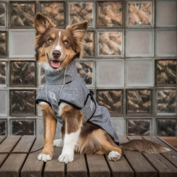 Manteau chien polyvalent Nella Back on Track Gris