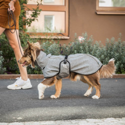 Manteau chien polyvalent Nella Back on Track Gris