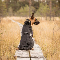 Manteau filet pour chien Back on Track Bleu Manteau filet pour chien Back on Track Bleu