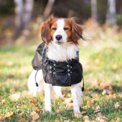 Manteau imperméable doublé pour chien Back on Track Noir
