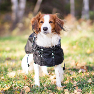 Manteau imperméable doublé pour chien Back on Track Noir