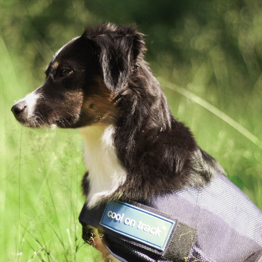 Manteau Rafraîchissant pour chien Back on Track Manteau Rafraîchissant pour chien Back on Track