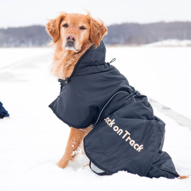 Manteau standard Back on Track pour chien Manteau standard Back on Track pour chien