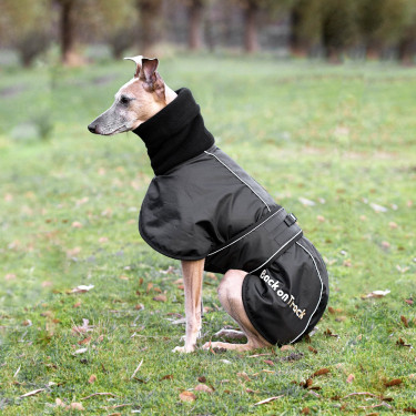 Manteau Whippet pour chien Back on Track Manteau Whippet pour chien Back on Track