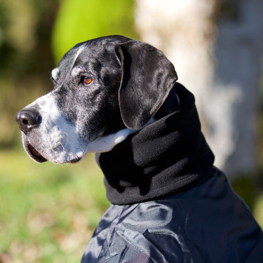 Manteau Whippet pour chien Back on Track Manteau Whippet pour chien Back on Track