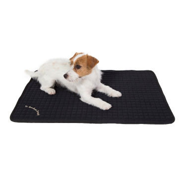 Matelas multi-usage pour chien Back on Track Matelas multi-usage pour chien Back on Track