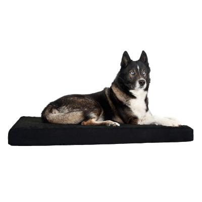 Matelas pour chien Back on Track Noir