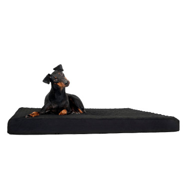 Matelas pour chien Back on Track Matelas pour chien Back on Track