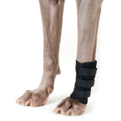 Protection pattes avant Back on Track pour chien Noir