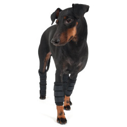 Protection pattes avant Back on Track pour chien Noir