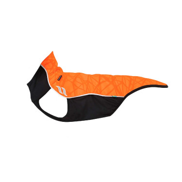 Pull chien Eddie Back on Track sans cintre Pull chien Eddie Back on Track sans cintre