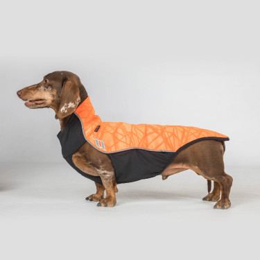Pull chien Eddie Back on Track sans cintre Pull chien Eddie Back on Track sans cintre