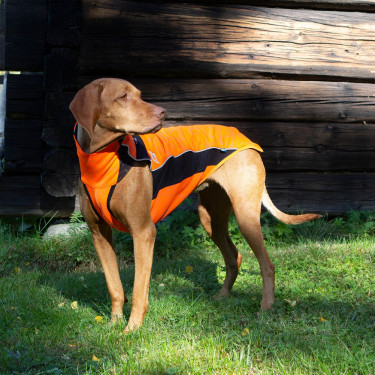 Pull chien Eddie Grande visibilit Back on Track sans cintre Pull chien Eddie Grande visibilit Back on Track sans cintre