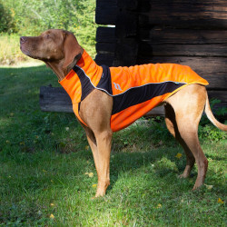 Pull chien Eddie Grande visibilit Back on Track sans cintre