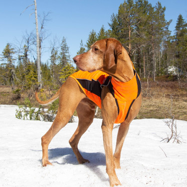 Pull chien Eddie Grande visibilit Back on Track sans cintre Pull chien Eddie Grande visibilit Back on Track sans cintre