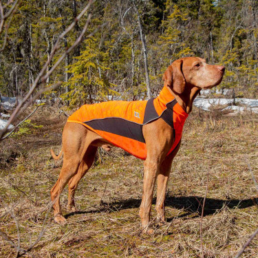 Pull chien Eddie Grande visibilit Back on Track sans cintre Pull chien Eddie Grande visibilit Back on Track sans cintre