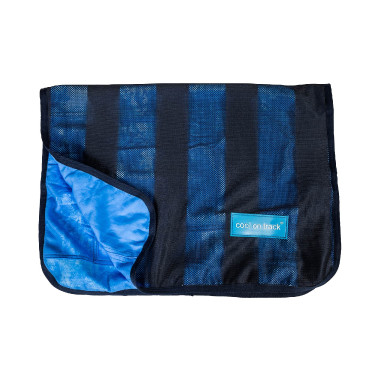 Serviette Rafraîchissante pour chien Cool on Track Back on Track Serviette Rafraîchissante pour chien Cool on Track Back on Track