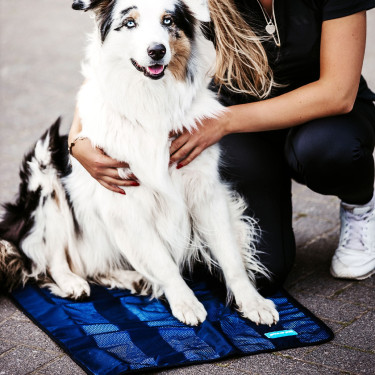 Serviette Rafraîchissante pour chien Cool on Track Back on Track Serviette Rafraîchissante pour chien Cool on Track Back on Track