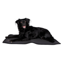 Tapis pour cage pour chien Back on Track Noir