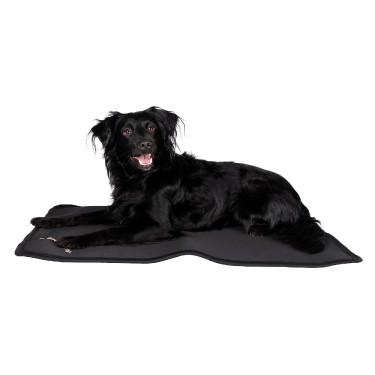 Tapis pour cage pour chien Back on Track Tapis pour cage pour chien Back on Track