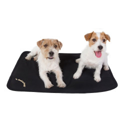 Tapis pour cage pour chien Back on Track Noir