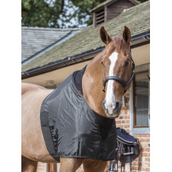 Protection d'épaules Lemieux Noir