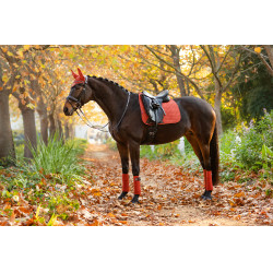 Tapis LeMieux Suede Dressage Square