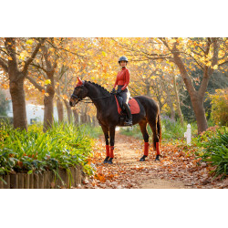 Tapis LeMieux Suede Dressage Square Sienna Rouge Tapis LeMieux Suede Dressage Square Sienna Rouge