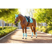 Tapis LeMieux Loire Classic Dressage Square Azure Bleu