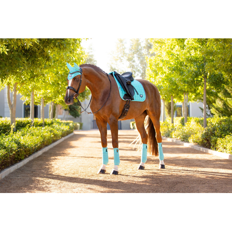 Tapis LeMieux Loire Classic Dressage Square