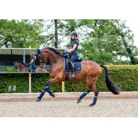 Tapis LeMieux Loire Classic Dressage Square Marine twilight
