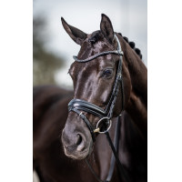 Bridon de dressage Classic LeMieux Noir Bridon de dressage Classic LeMieux Noir